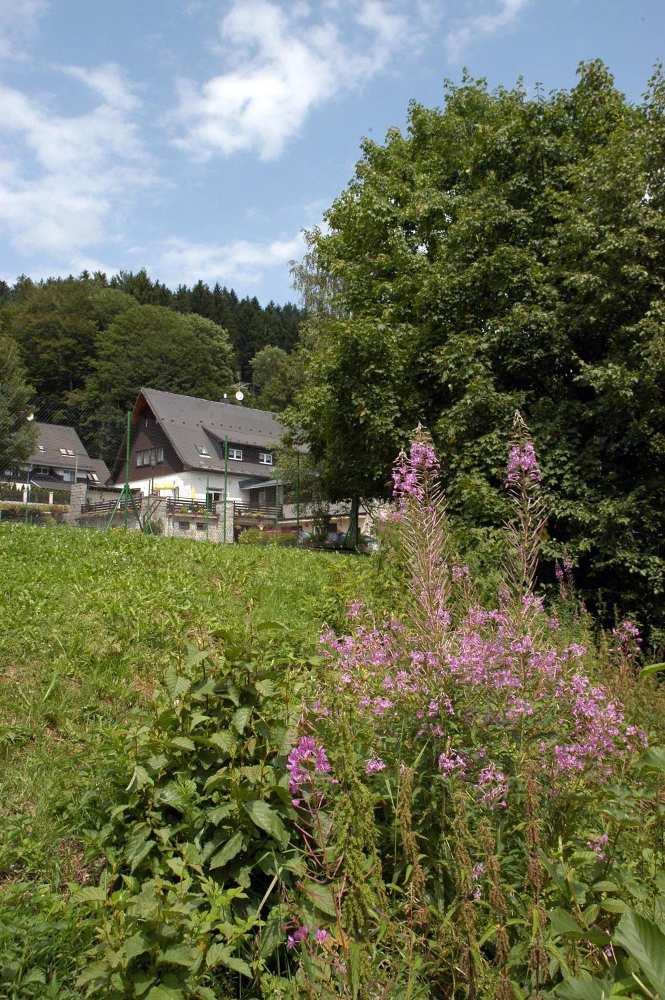 Penzion Bobesova Bouda Zelezna Ruda Bagian luar foto